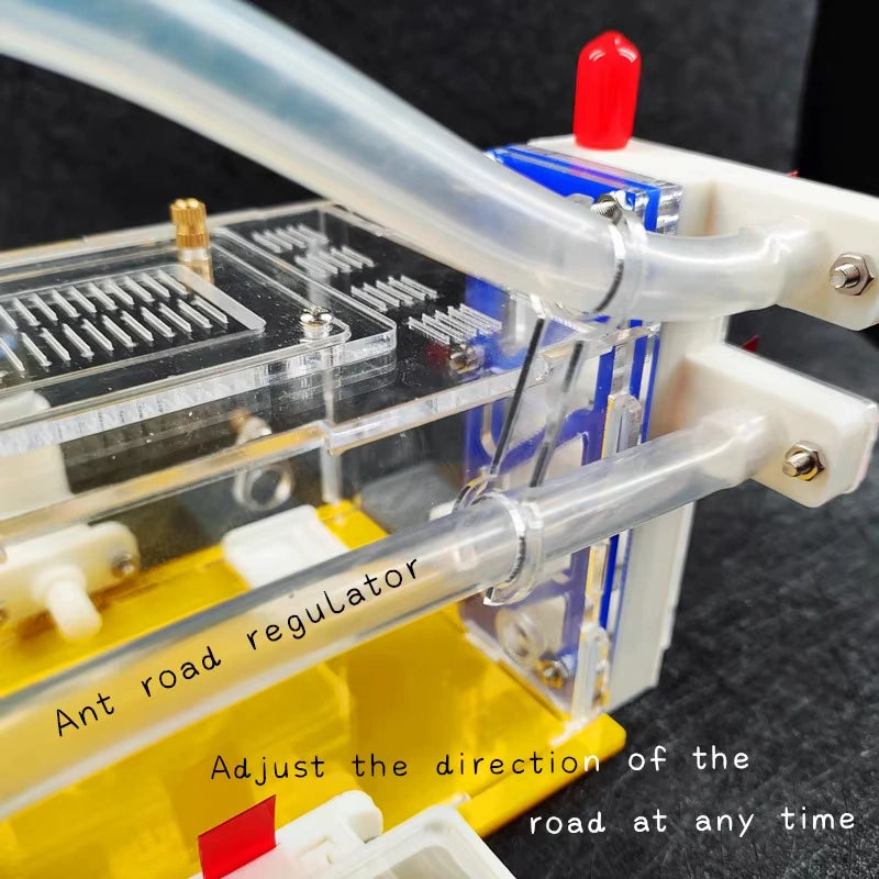 T-Shaped DIY Acrylic Ant Farm with Feeding Area