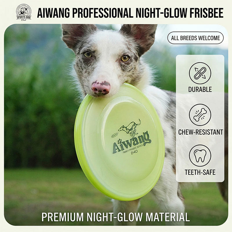 Ultimate Glow-in-the-Dark Professional Dog Disc