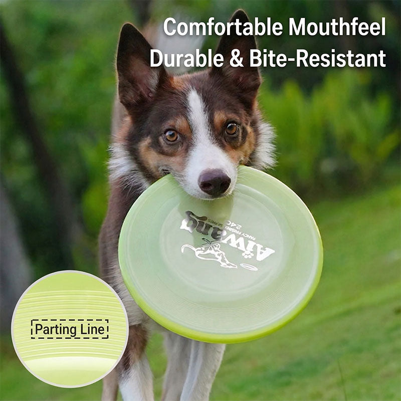 Ultimate Glow-in-the-Dark Professional Dog Disc