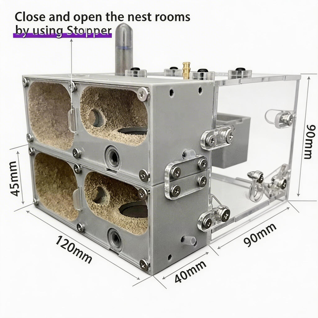 Ant Farm Nest for Ant Keeping