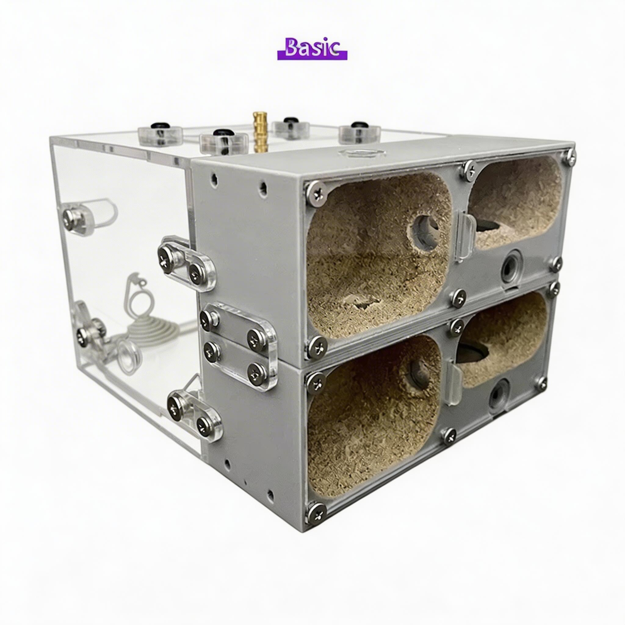 Ant Farm Nest for Ant Keeping