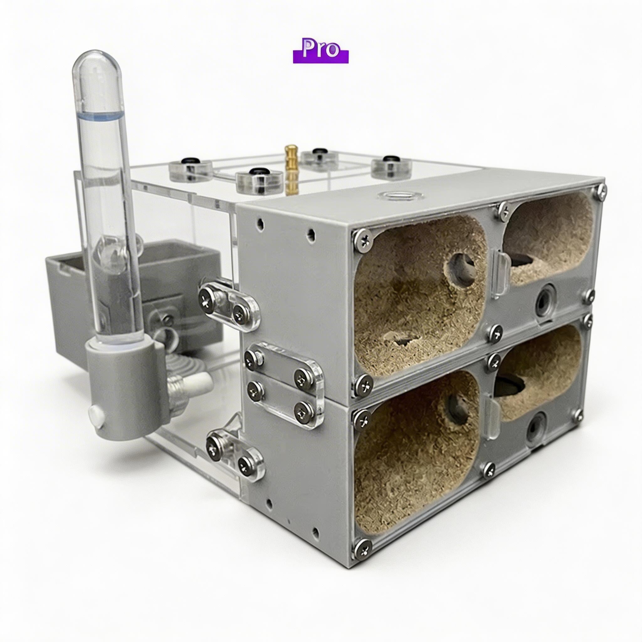 Ant Farm Nest for Ant Keeping