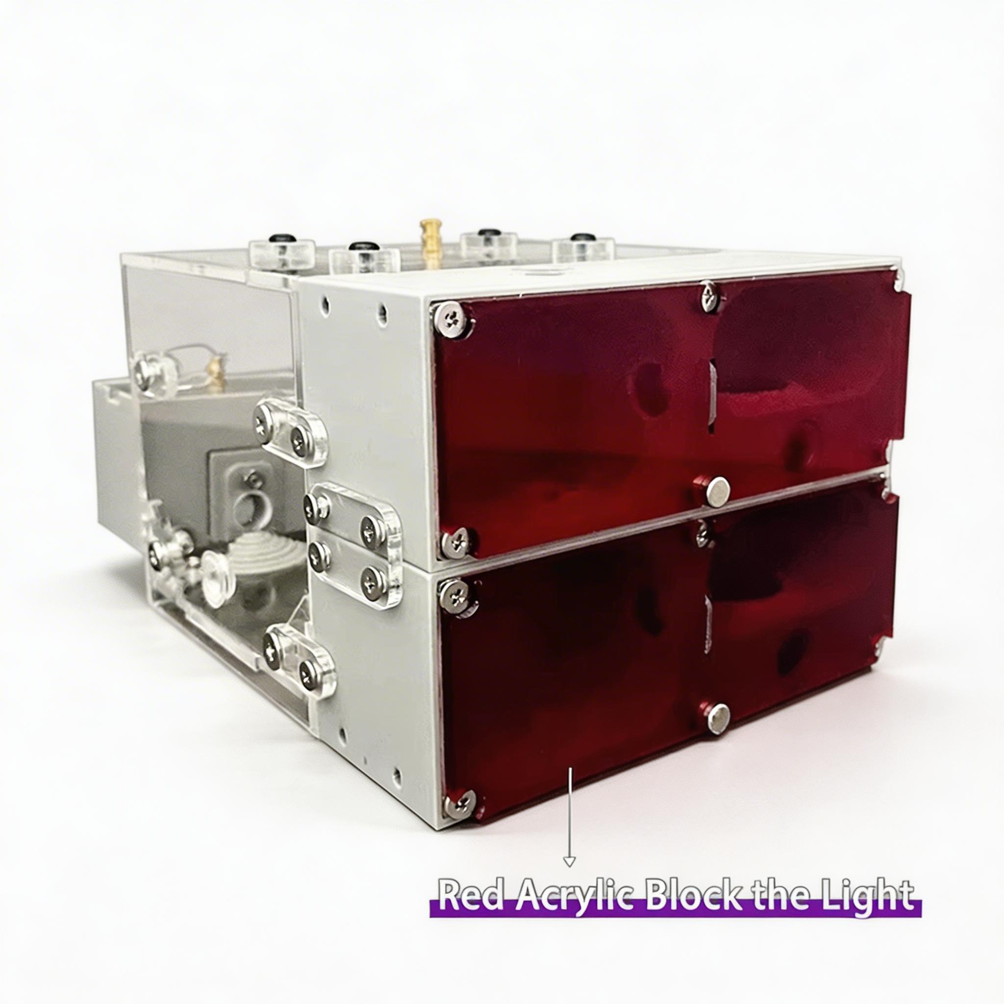 Ant Farm Nest for Ant Keeping