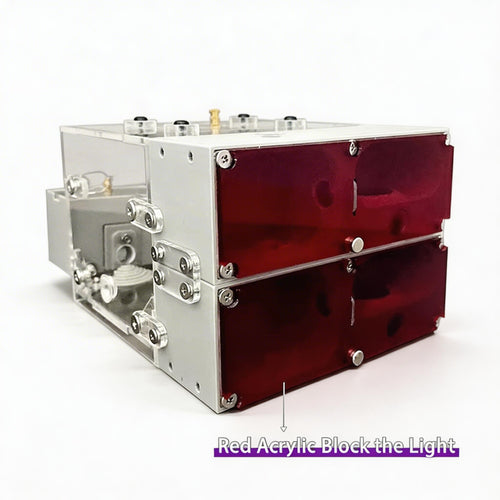 Ant Farm Nest for Ant Keeping